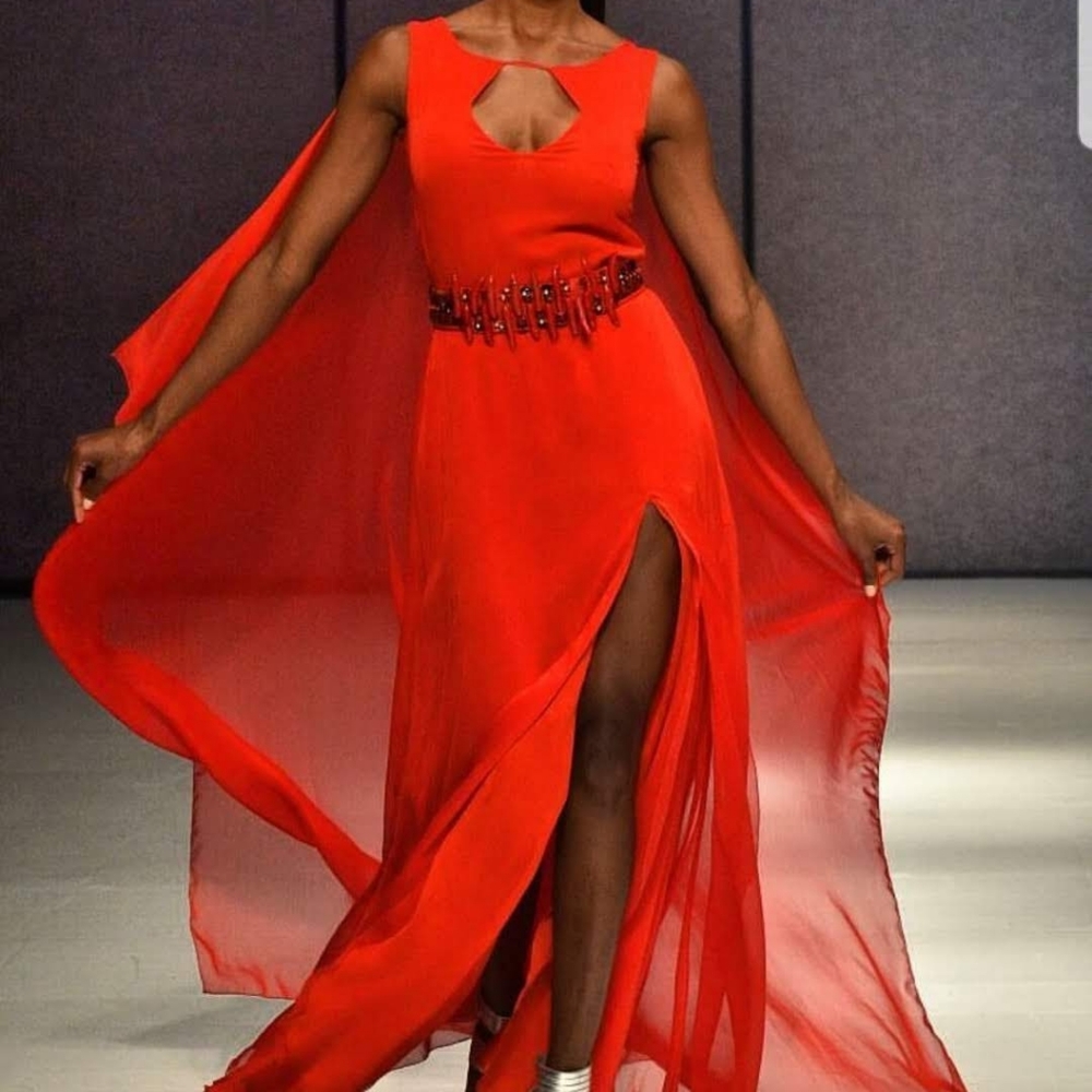 Italian Shiffon Silk  Dress